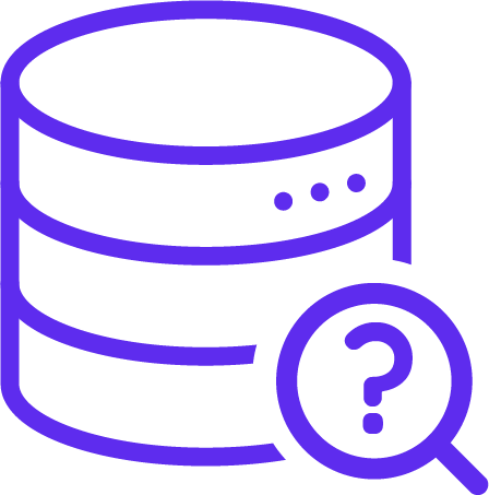 Custom Data Solution Icon